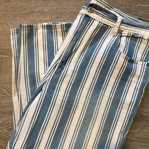 Indigo and White Stripe  American Eagle Mom Jean